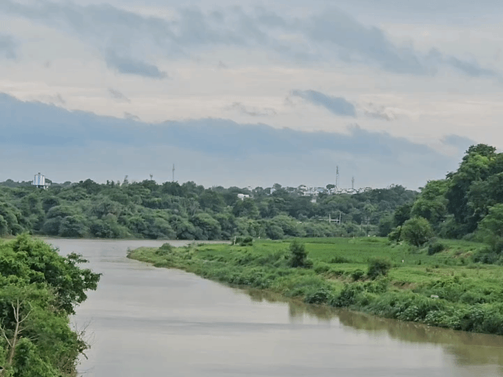 
                 48 घंटे से बारिश नहीं, धूप से फिर बढ़ी गर्मी:मंदसौर में 4 दिन में सिर्फ 0.04 इंच ही वर्षा; 25 अगस्त तक हल्की बारिश के आसार 
            