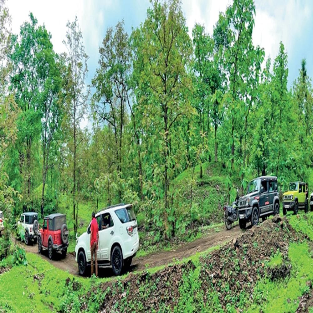 
                 इंसानी दखल से कॉरिडोर को खतरा:ओखलेश्वर-चोरल-कालाकुंड से गुजरते हैं टाइगर 
            