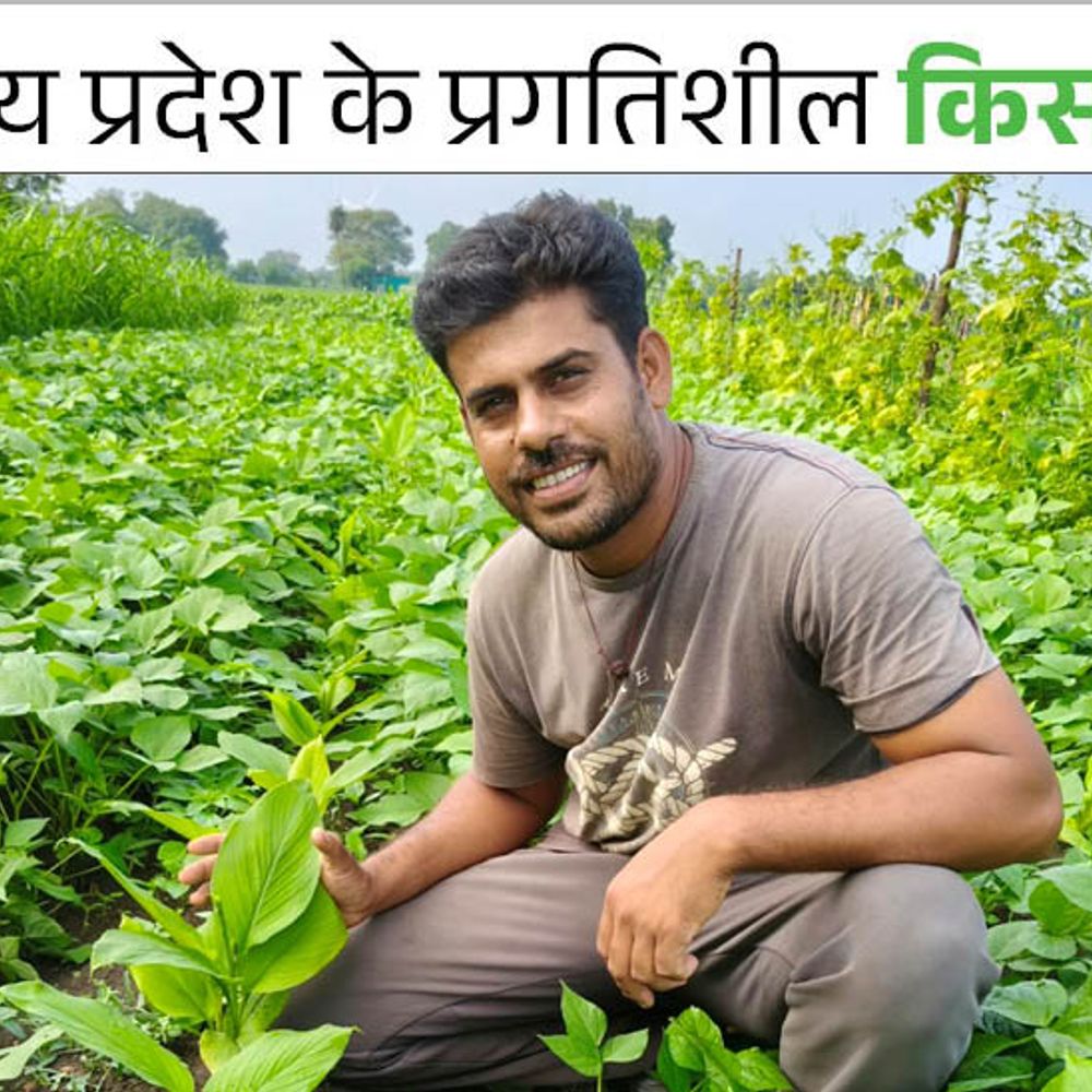 
                 रतलाम के किसान ने 7 साल पहले रसायनों को कहा:अब जैविक खेती से घटाई लागत और बढ़ाया मुनाफा, उत्पादन भी 30% बढ़ा 
            