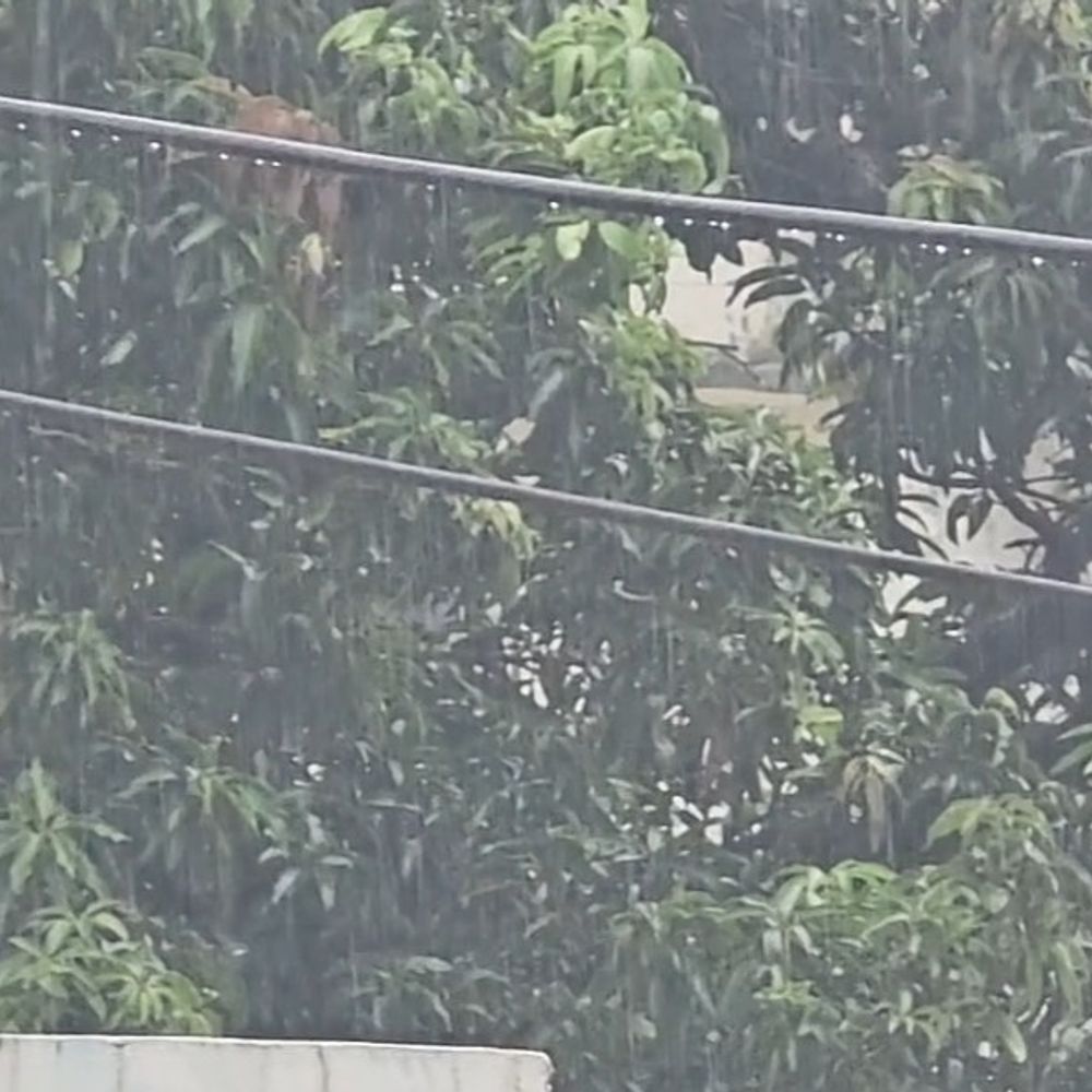 गोंडा में 2 घंटे में 5 MM बारिश दर्ज:अगले 3 घंटे तेज बरसात, 3 दिन तक मध्यम बारिश का अलर्ट