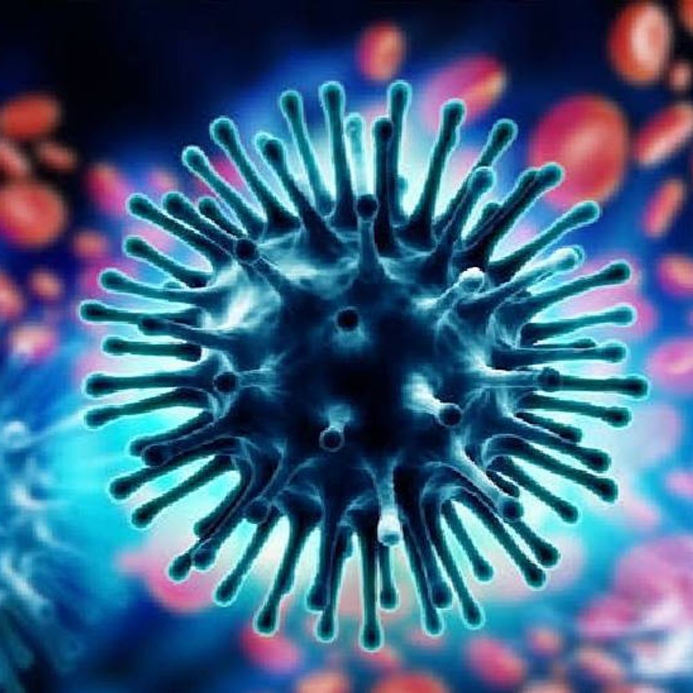 
                 इंदौर में स्वाइन फ्लू का दूसरा मरीज मिला:H1N1 संक्रमण की पुष्टि के बाद इलाज जारी; इसी हफ्ते उज्जैन की महिला की हुई थी मौत 
            