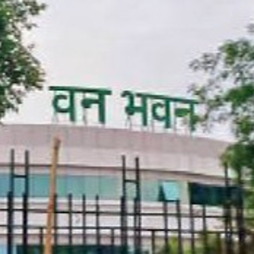 
                 पदोन्नति पर मुख्यमंत्री के आभार प्रदर्शन का होगा बॉयकाट:उप वन क्षेत्रपाल से वन क्षेत्रपाल के पद पर पदोन्नति नहीं किए जाने से नाराजगी 
            