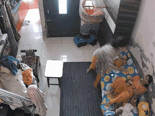 पंजाब-चंडीगढ़ दिनभर, 10 बड़ी खबरें:टॉयलेट क्लीनर पिला पत्नी की हत्या; बहू ने सास को जमकर पीटा; बैल से कार खिंचवाकर शोरूम पहुंचा मालिक