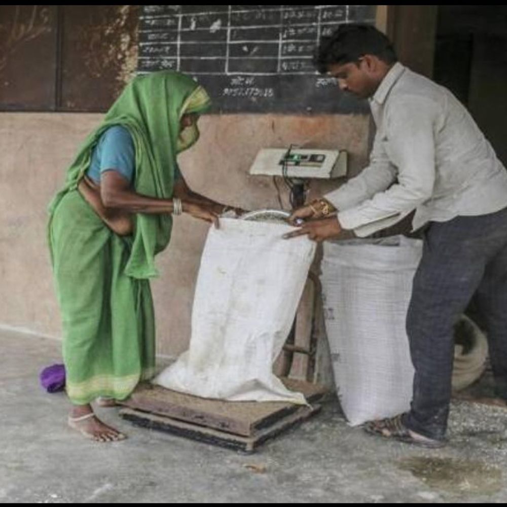 मऊगंज में 5 महीने से राशन की शक्कर मिलना बंद:17,385 परिवार बाजार से खरीदने को मजबूर; अधिकारी बोले- शासन से नहीं आ रही