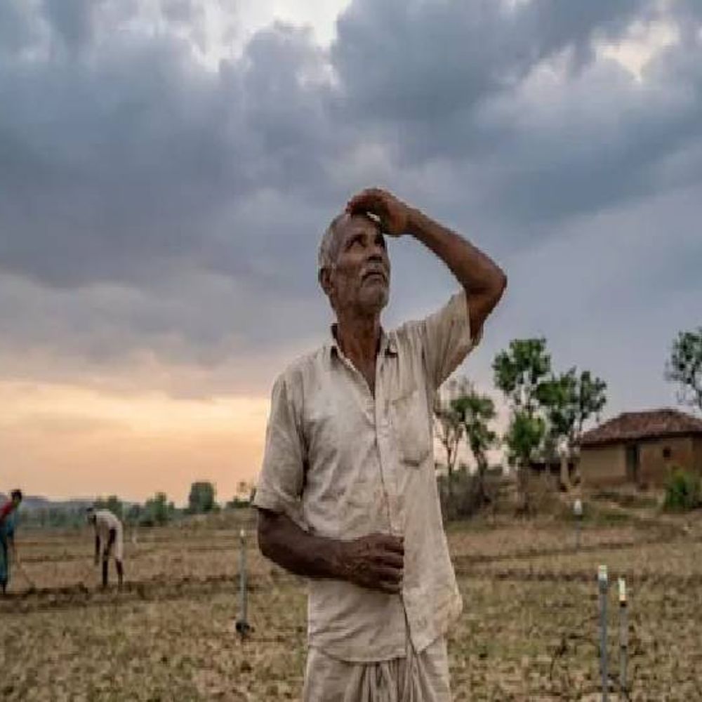 ओडिशा, बंगाल और झारखंड में मानसून बेहतर:बिहार में मानसून बेदम, इस सीजन अब तक 41 प्रतिशत कम बारिश