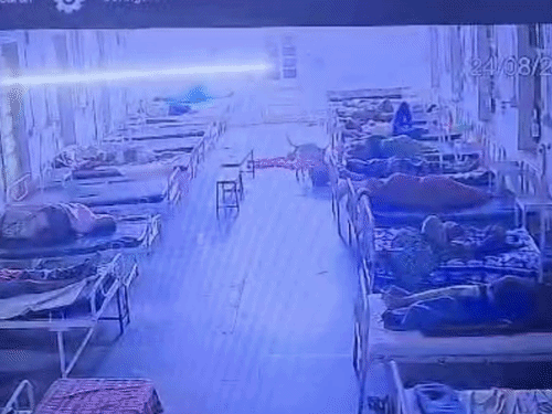 
                 सोने के जेवरों का बैग ले गया था कुत्ता, VIDEO:पुलिस ने महिला को लौटाया; बेटे का इलाज कराने जिला अस्पताल पहुंची थी 
            