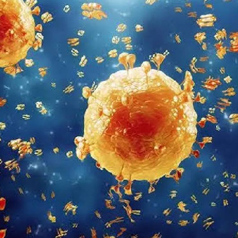 
                 इंदौर में H1N1-इन्फ्लुएंजा को लेकर अलर्ट:स्वास्थ्य विभाग ने जारी की एडवाइजरी, खांसी-जुकाम होने पर भीड़ से दूर रहने की सलाह 
            
