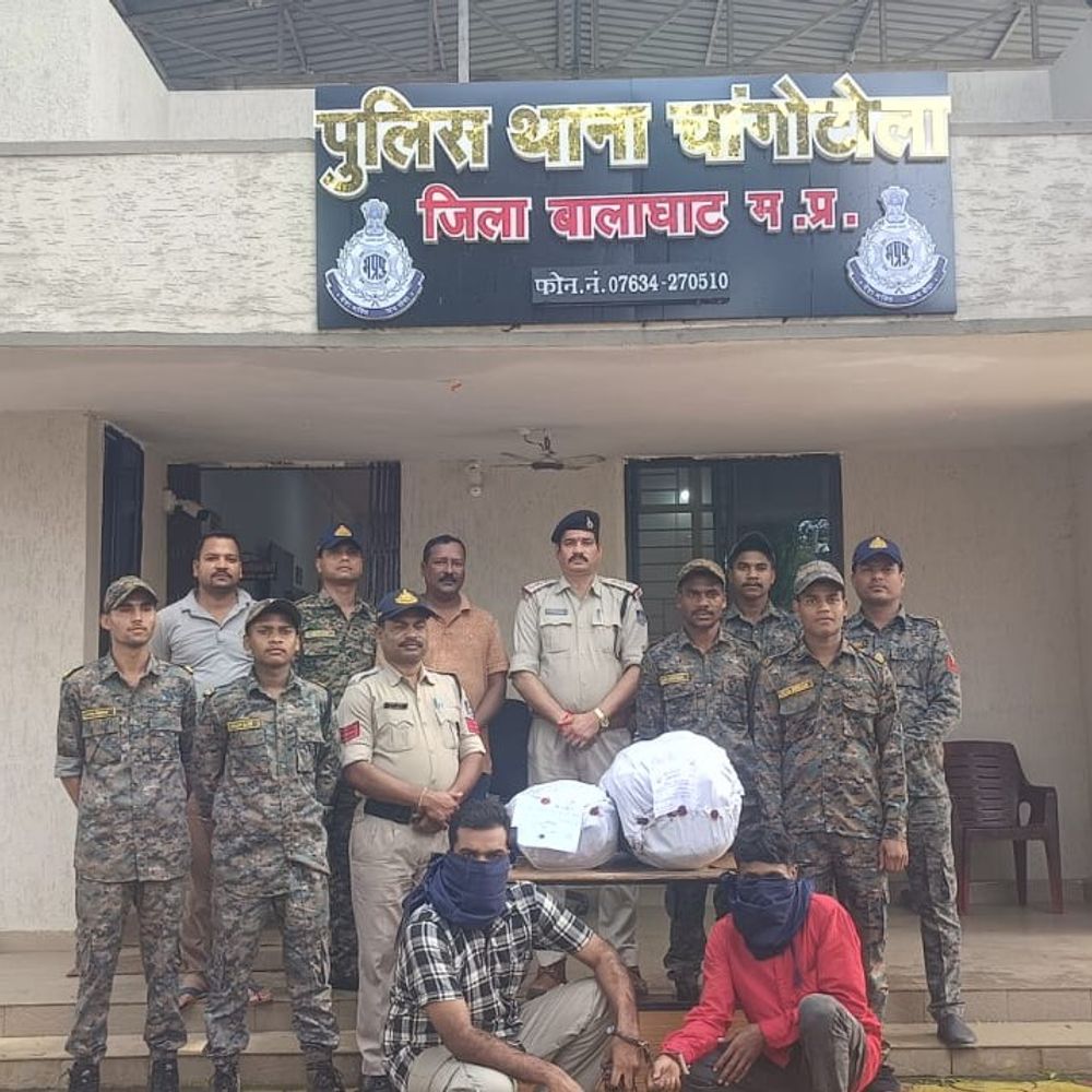 बालाघाट में 22 किलो गांजा जब्त, दो तस्कर गिरफ्तार:ओडिशा के आरोपियों से 11 लाख का मादक पदार्थ बरामद, नेटवर्क की तलाश