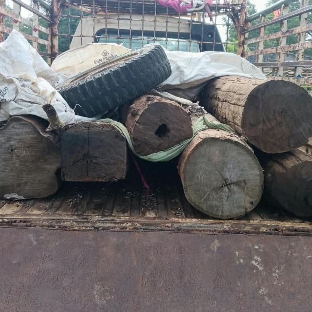 सुकमा में सागौन तस्करी पर वन विभाग की कार्रवाई:3 वाहन और 0.671 घन मीटर लकड़ी जब्त, वन अधिनियम के तहत केस दर्ज