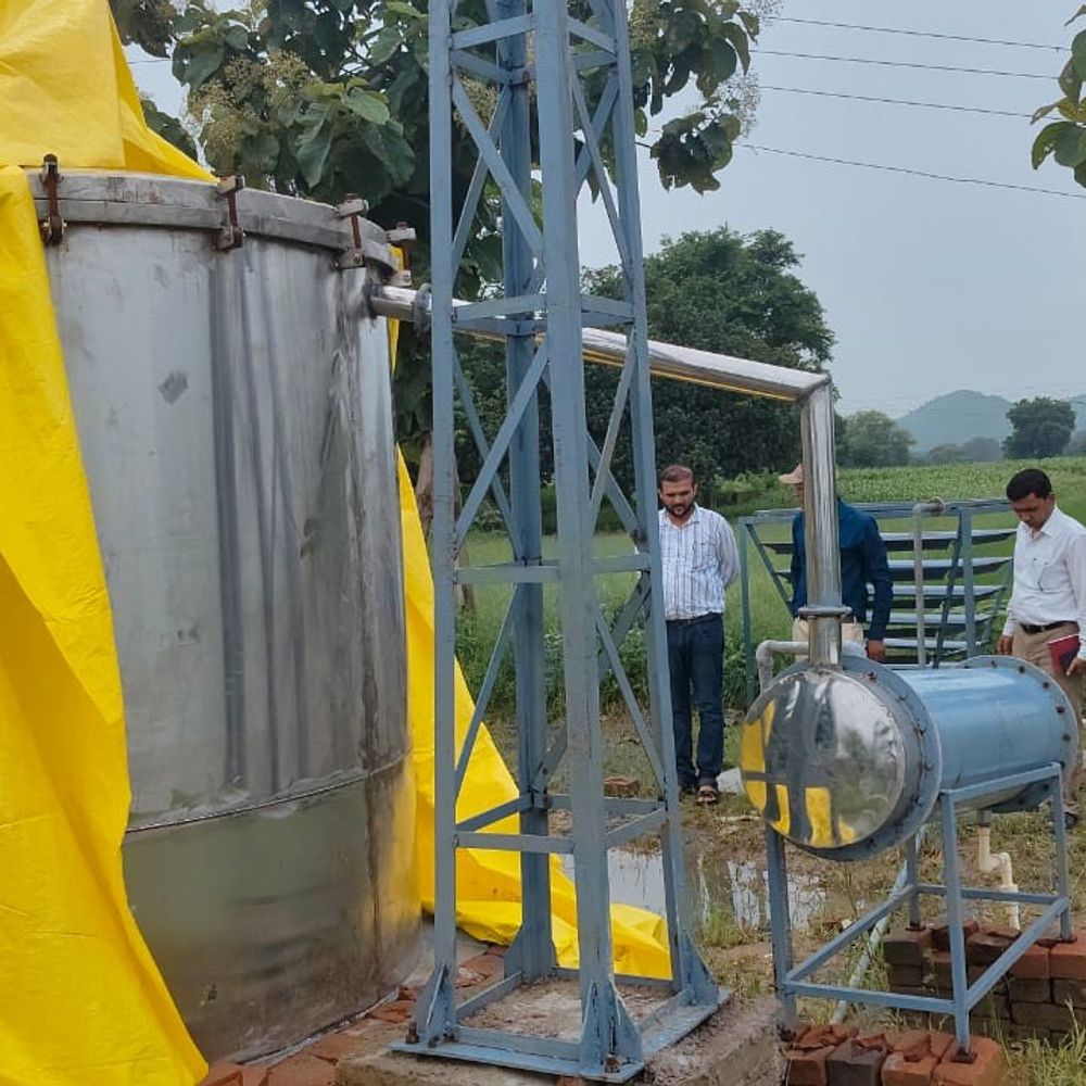 चित्रकूट में कैमोमाइल-लेमनग्रास खेती से किसानों की आय बढ़ी:सिलखोरी में लगेगी ऑयल एक्सट्रैक्शन यूनिट, मिलेगा सीधा बाजार