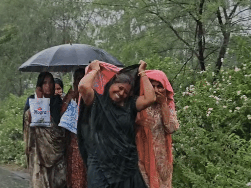 
                 मंदसौर में रिमझिम बारिश, गर्मी-उमस से राहत:सीजन में अब तक 21.09 इंच बरसात हुई, 26 अगस्त को तेज बारिश का अनुमान 
            
