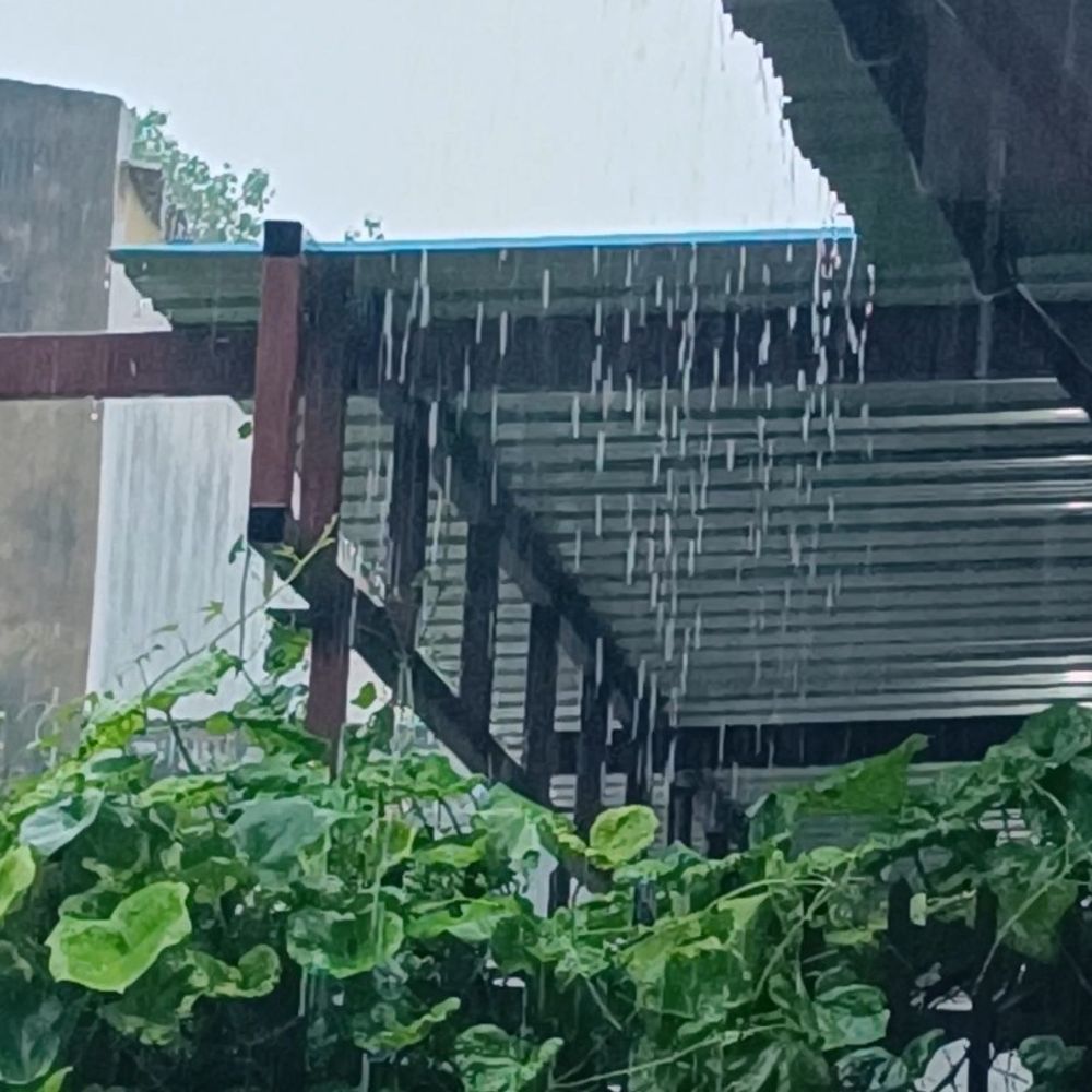 जालौन में 14 घंटे से मूसलाधार बारिश:71 MM बारिश दर्ज, खेत जलमग्न हुए