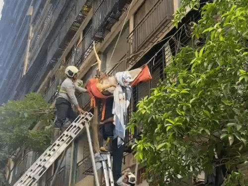 
                 मुंबई में 10वीं मंजिल से कूदी नवविवाहिता, पेड़ में फंसी:पैर में डाल घुसने से हवा में लटकी; 20 फीट ऊपर से रेस्क्यू 
            