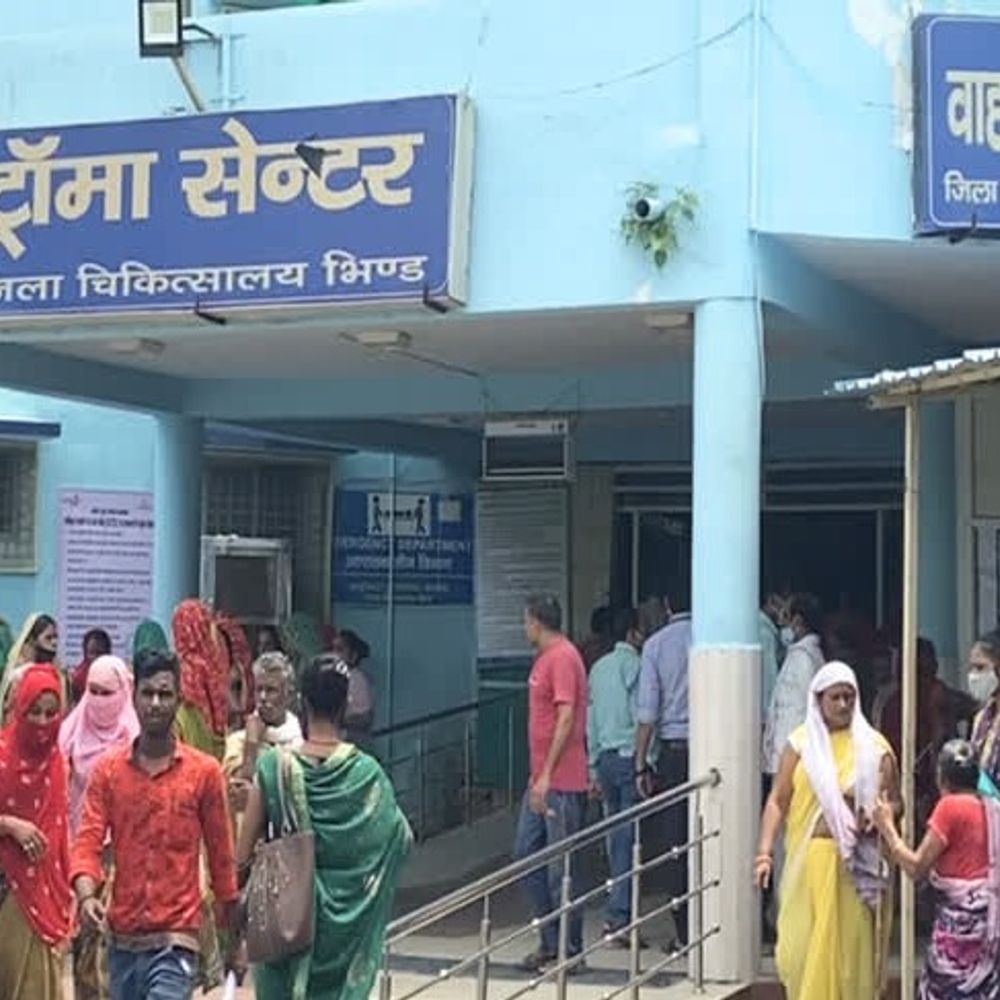 भिंड में सर्पदंश से दो महिलाओं की मौत:घर में काम कर रही महिला और खेत में चारा काटते दम तोड़ा