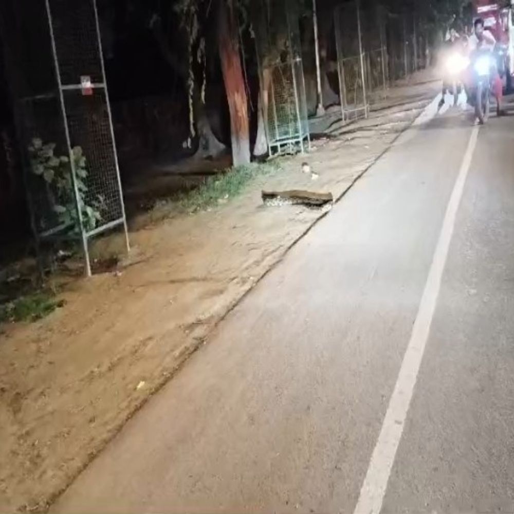 रक्षाबंधन पर मथुरा की सड़कों पर दिखे विशालकाय अजगर:मथुरा-वृंदावन रोड और नेशनल हाईवे पर अजगर निकलने से मचा हड़कंप, वाहनों के पहिए थमे; वीडियो सोशल मीडिया पर वायरल