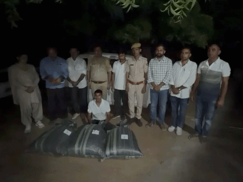जालोर में 48 किलो डोडा चूरा के साथ तस्कर गिरफ्तार:स्विफ्ट कार जब्त, ANTF ने पीछा कर पकड़ा