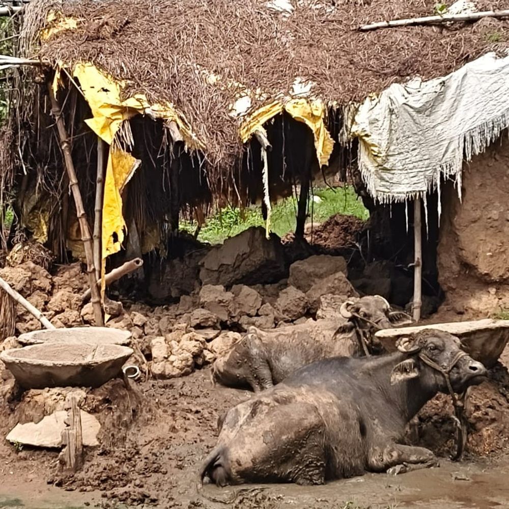 बक्सर में तेज बारिश के दौरान मिट्टी की दीवार गिरी:मलबे में दबकर 80 साल के बुजुर्ग की मौत, परिजनों ने पोस्टमार्टम से किया इनकार