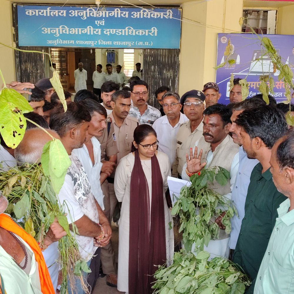 रिछोदा के किसानों ने फसल बीमा न मिलने का आरोप:सोयाबीन फसल के सही सर्वे और मुआवजे की मांग, कलेक्टर को दिया आवेदन