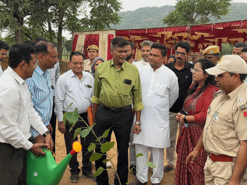 कोटपूतली हरियालो राजस्थान अभियान, लक्ष्य से ज्यादा पौधे लगाए गए:अब तक 17.35 लाख पौधे लगे, आंतेला में 20 हेक्टेयर चारागाह पर उद्यान विकसित