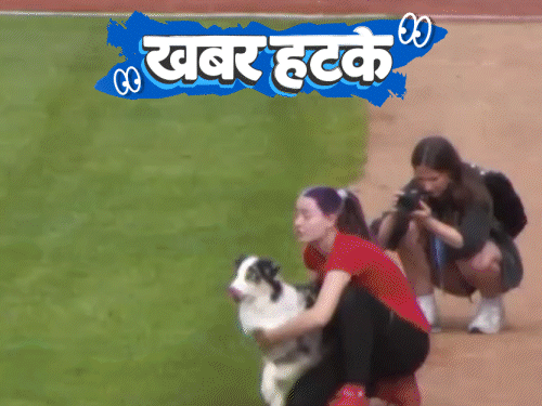 खबर हटके- भैंस का बर्थडे सेलिब्रेशन:56 लोगों के ऊपर से जंप करने वाला डॉगी; डस्टबिन से बात कर रहे लोग