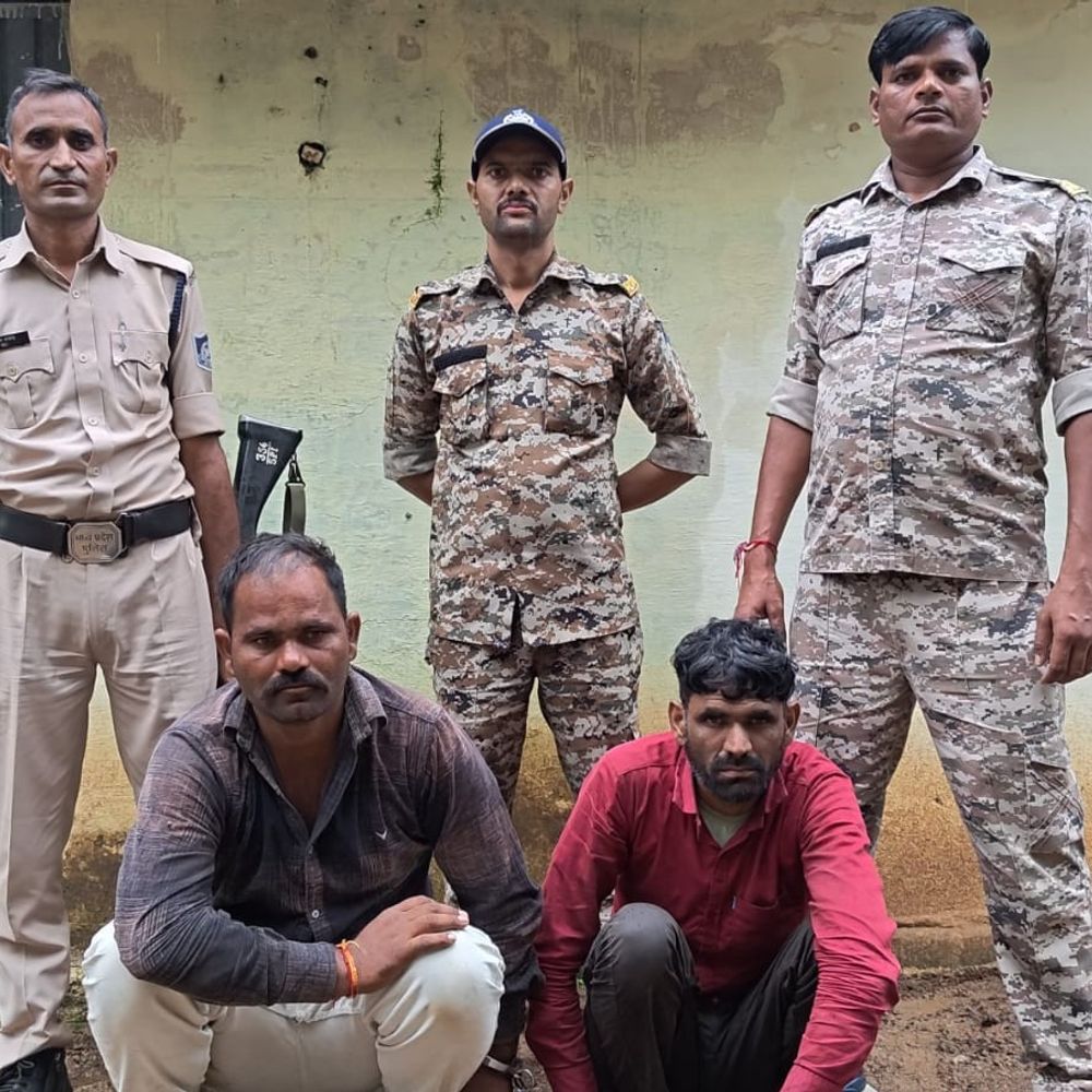 शिवपुरी में 13 भैंस चोरी, 3 आरोपी गिरफ्तार:  जंगल में चरने के दौरान की चोरी, मददगारों की तलाश जारी – Shivpuri News