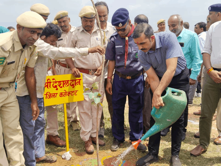 डूंगरपुर में 25 लाख पौधे लगाए:'एक पेड़ मां यशोदा के नाम' अभियान में पौधारोपण कार्यक्रम