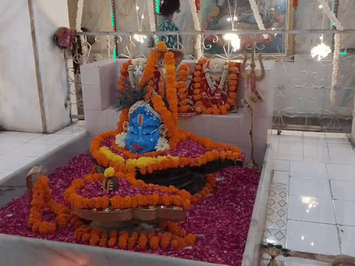 जोधपुर में भगवान शिव का श्रीकृष्ण का शृंगार:रात 12 बजे होगी आतिशबाजी; कान्हा की टोलियां फोड़ेगी मटकी