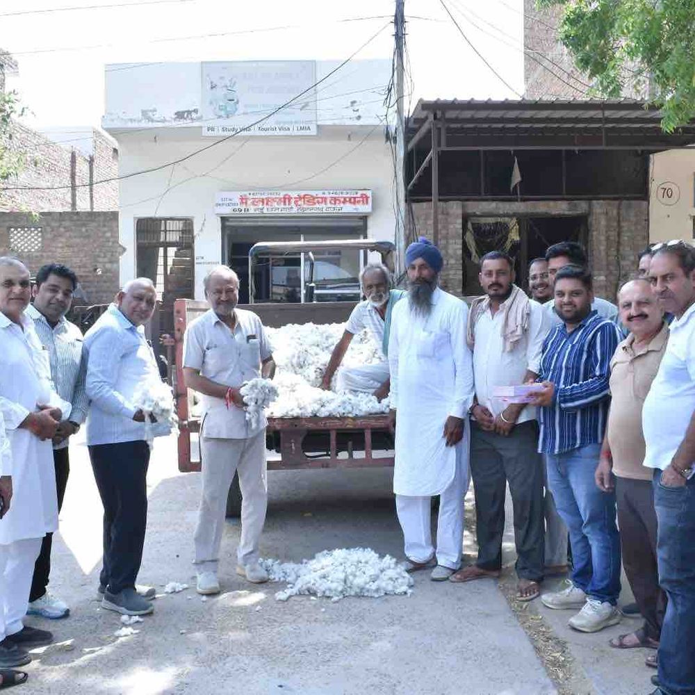 नरमे की पहली ढेरी 8511 रुपए प्रति क्विंटल बिकी:'सफेद सोना' लेकर पहुंचे कोहला के किसान गुरचरण सिंह; व्यापारियों में उत्साह