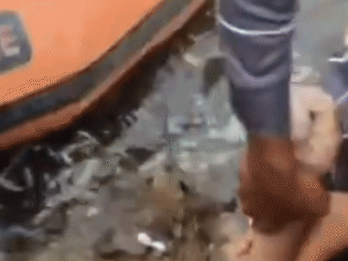 बुराहापुर की ताप्ती नदी में युवक डूबा, मौत:मछली पकड़ने गया था, NRDF ने नदी से शव निकाला