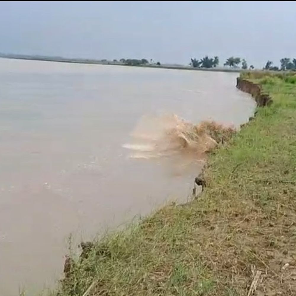 राप्ती की कटान से किसानों की जमीन नदी में समाई:घटते-बढ़ते जलस्तर से कटान तेज, धान की खड़ी फसल भी चपेट में; प्रशासन करवा रहा सर्वे