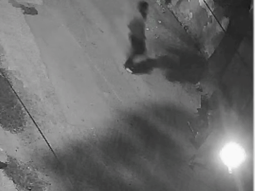 डूंगरपुर में पानी के मीटर चोरी, CCTV में कैद चोर:बाइक पर आए 3 बदमाश, एक मिनट में मीटर तोड़कर भागे