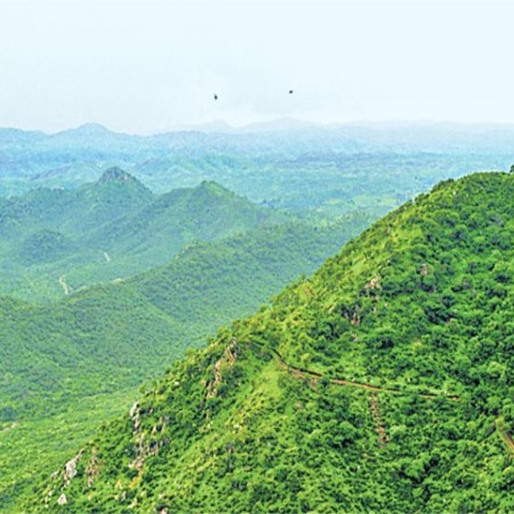 एचपीसी ने सुप्रीम कोर्ट को सौंपी अनुपालन रिपोर्ट:100 मीटर की ऊंचाई से नहीं तय होगी अरावली की पहचान, पूरा इकोसिस्टम बनेगा आधार