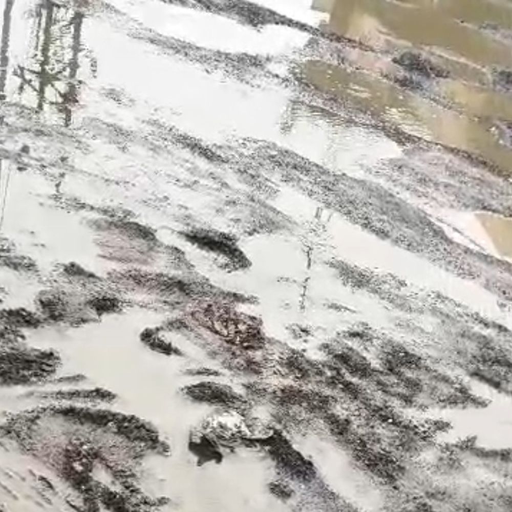 उमरिया में सड़कें हुए दलदल जैसी:गड्ढों और कीचड़ से राहगीर, स्कूली बच्चे परेशान; एक दर्जन गांवों के लोग प्रभावित