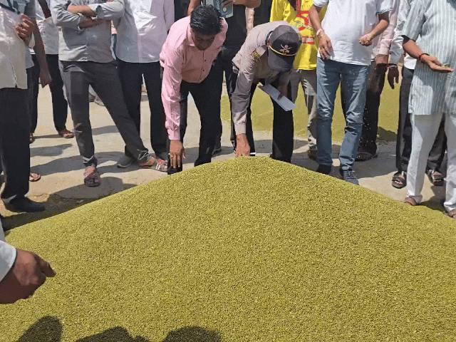 नागौर मंडी में जीरा 20,800 रुपए/क्विंटल तक पहुंचा:सौंफ-ईसबगोल में भी मजबूती; मतदान के चलते 9 सितंबर को अवकाश