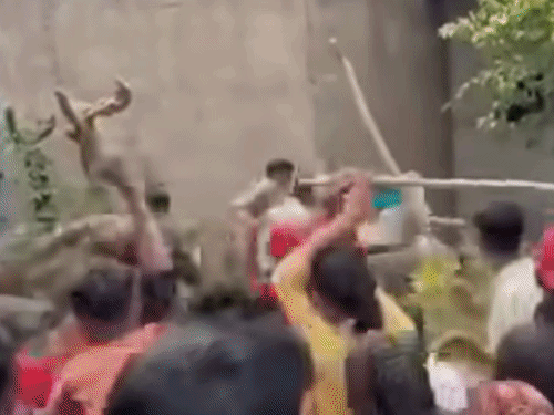 शराब दुकानों के विरोध में विवाद, जमकर चले लाठी-डंडे:पुलिस-आबकारी विभाग जान बचाकर भागा, शिवपुरी में तीसरे दिन भी प्रदर्शन