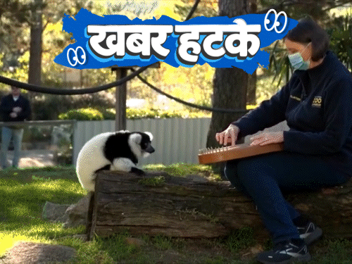 खबर हटके- इंसान की पॉटी से बनेगा घर:जानवरों को म्यूजिक सुनाती हैं महिला; बॉयफ्रेंड को बाइक गिफ्ट करने के लिए गर्लफ्रेंड बनी चोर
