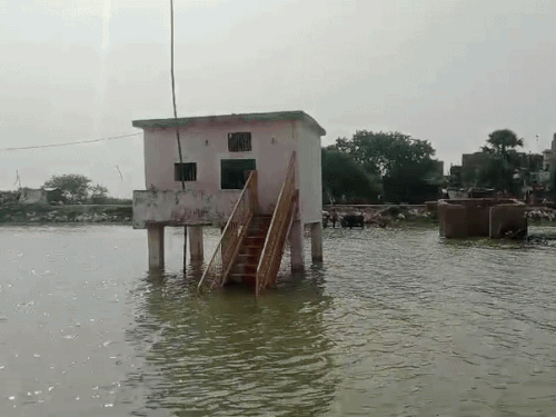 गंगा के बैकवाटर से 350 बीघे धान डूबे:नालंदा के सरमेरा में बांध के ऊपर पहुंचा पानी; SDRF और स्पीड बोट तैनात