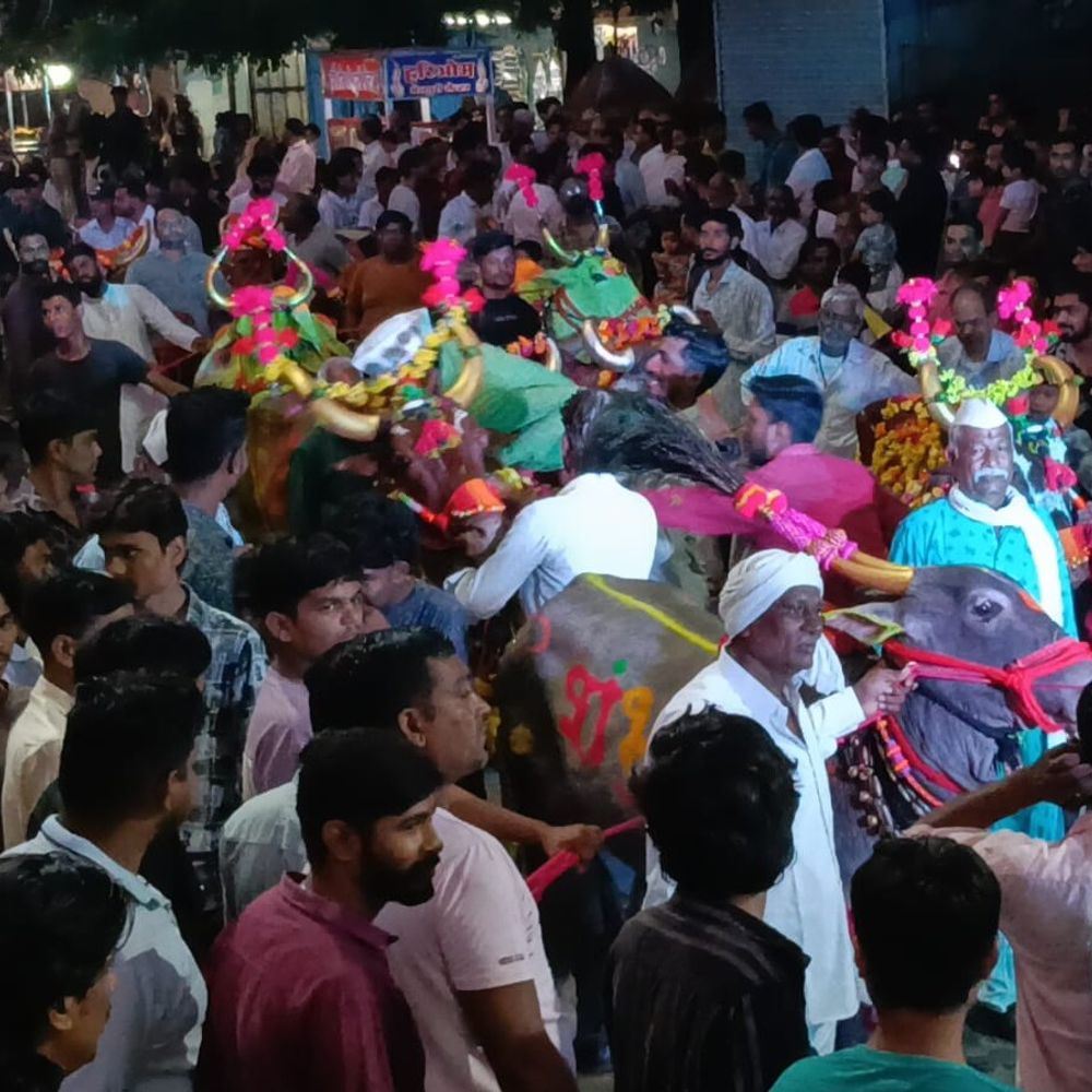 बुरहानपुर में धूमधाम से मना पोला, घाघरला में तोरण प्रतियोगिता:रास्तीपुरा में हनुमान मंदिर में पूजा के बाद नारियल फोड़े, ग्रामीण हुए शामिल