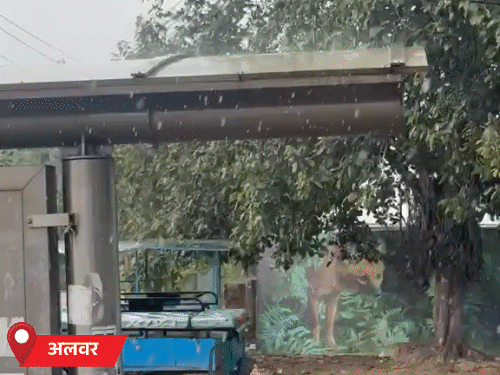 अलवर में बारिश, आज 29 जिलों में अलर्ट:जोधपुर में एक महीने बाद हुई बरसात, दो जिलों में पारा 40 डिग्री के पार