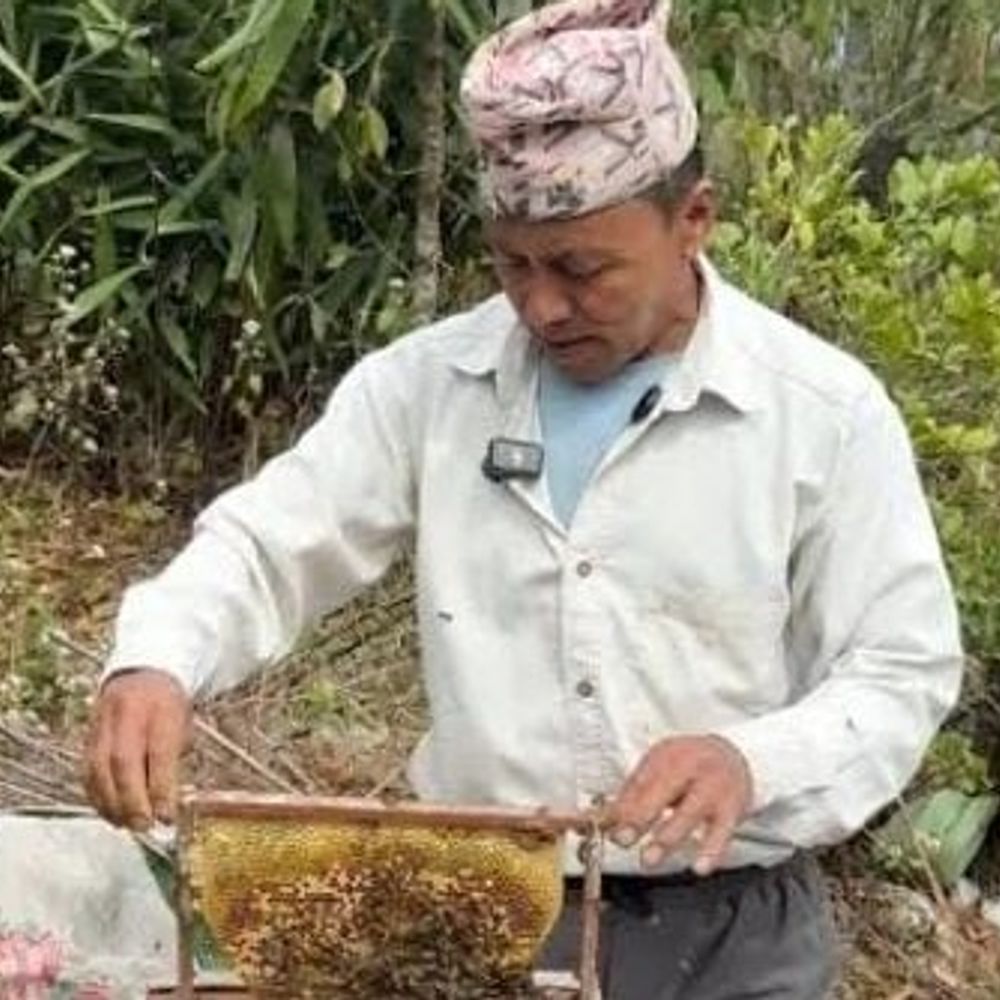अंबेडकरनगर में मधुमक्खी पालन से बढ़ेगी किसानों की आय:3.20 लाख की यूनिट पर मिलेगा 1.28 लाख रुपए अनुदान; ऑनलाइन आवेदन की सुविधा