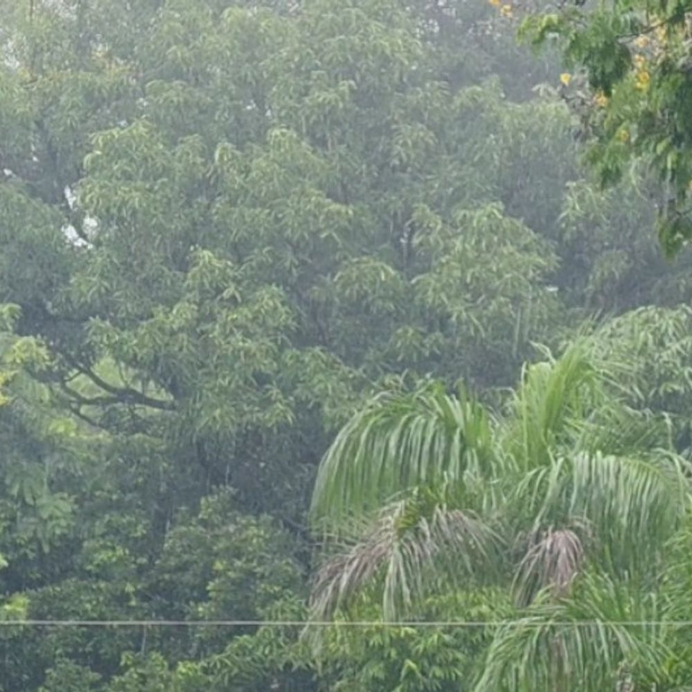 धार में बारिश थमते ही पानी की चिंता फिर बढ़ी:तेज धूप ने भी बढ़ाई गर्मी, जलस्रोतों में नहीं बढ़ा पानी