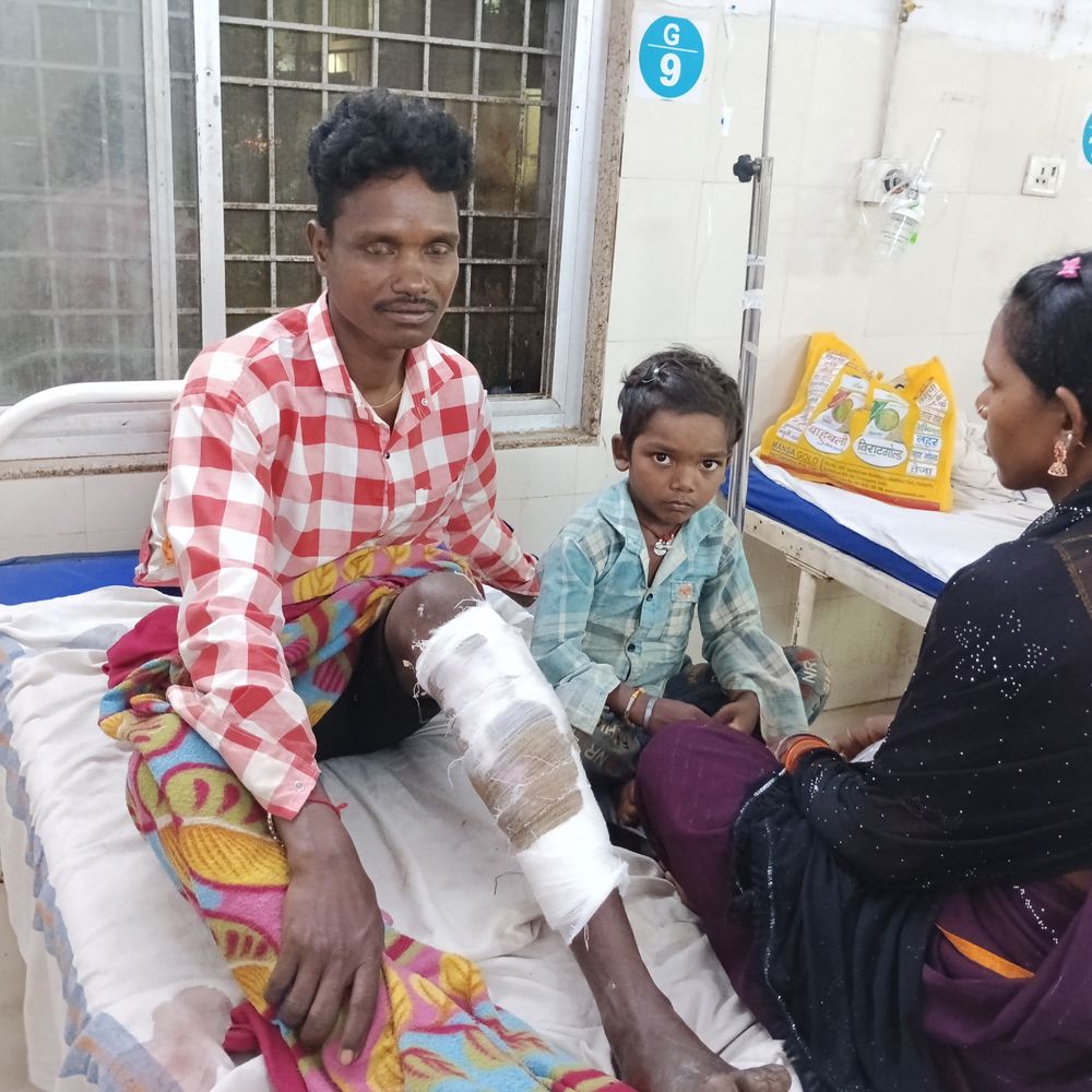 20 मिनट तक भालू से लड़ा युवक, टांगी मारकर भगाया:पैर में लगी चोट, अनूपपुर के जंगल में लकड़ी बीनने गया था