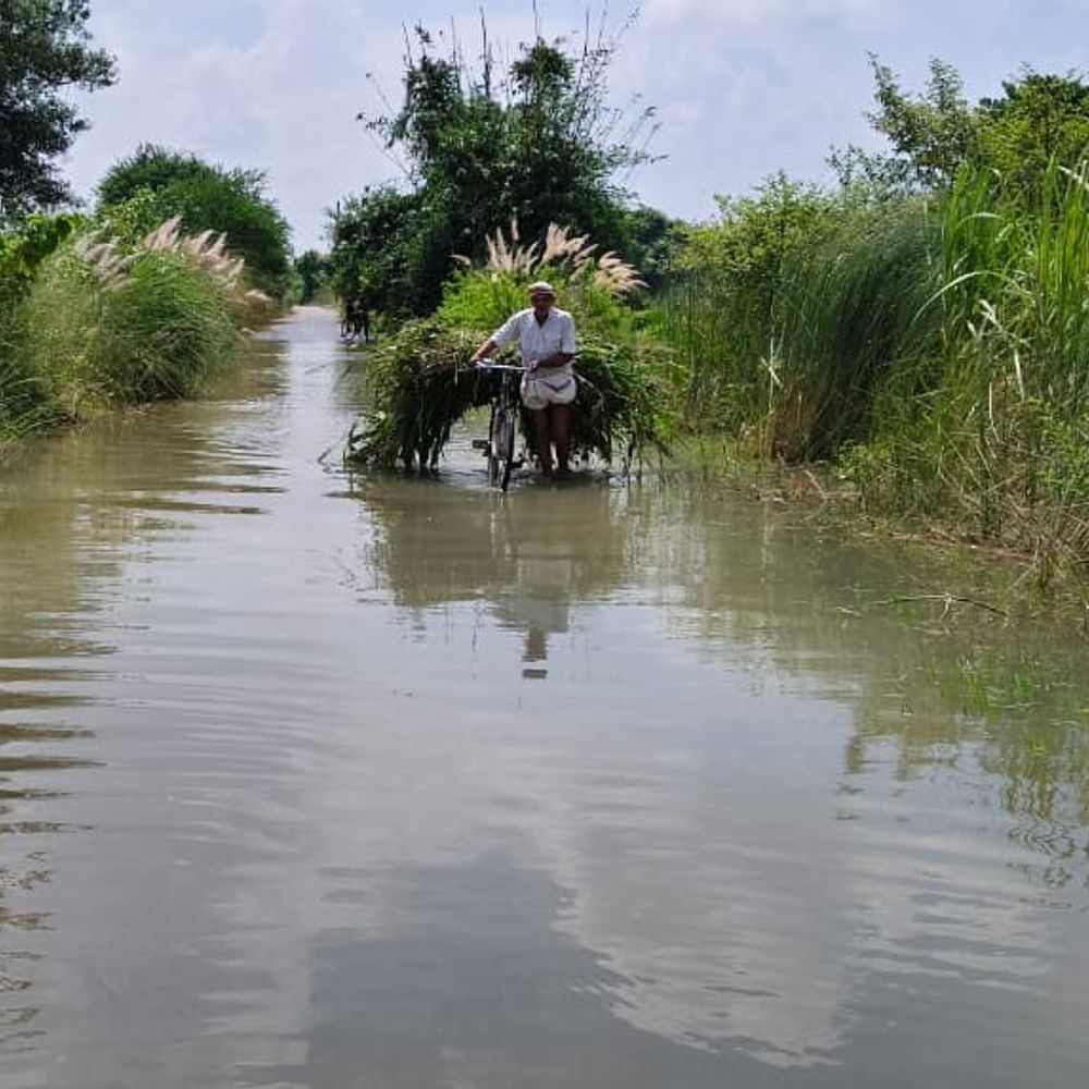 गोंडा में घाघरा नदी का जलस्तर घटा:20 सेंटीमीटर नीचे आया, 5 गांव बाढ़ से बाहर; 15 गांवों की 10 हजार आबादी अब भी प्रभावित