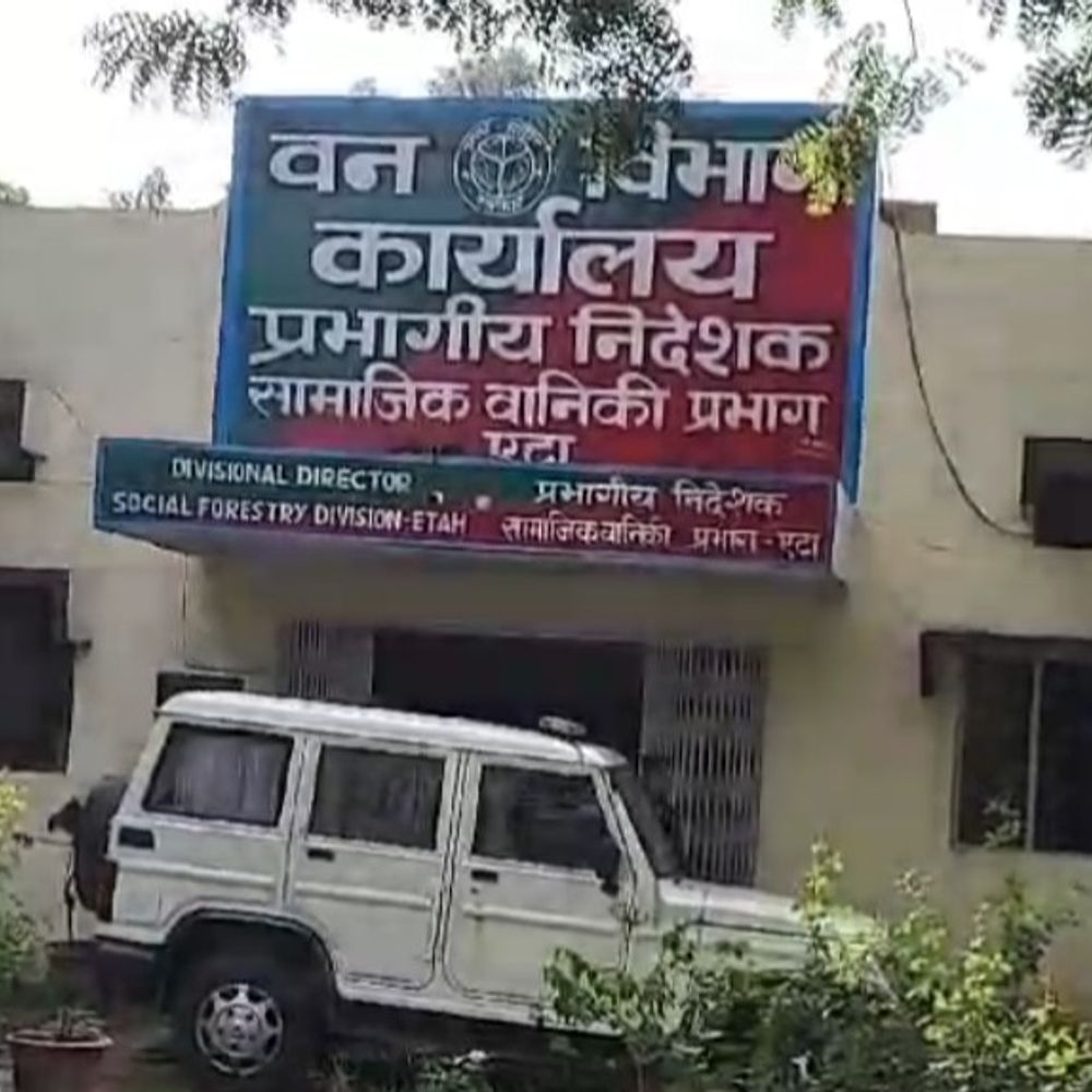 वन विभाग ने अवैध खनन करते JCB पकड़ी:चालक को कोर्ट में पेश किया, आरोपी जमानत पर छूटा; 4500 पौधे भी नष्ट किए