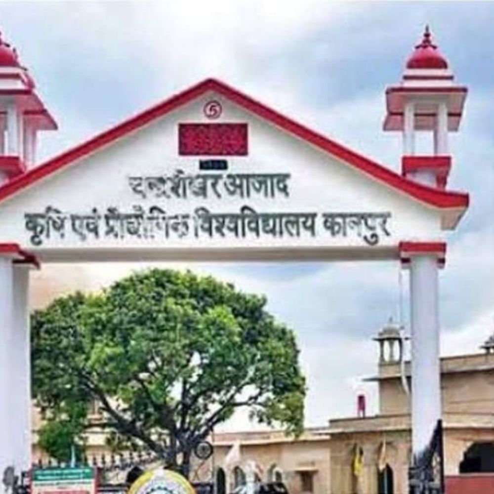 कानपुर सीएसए में मशरूम उत्पादन प्रशिक्षण:डॉ. श्रीवास्तव बोले- मशरूम उत्पादन सुनहरा अवसर, युवा आत्मनिर्भर खेती व्यवसाय शुरू करें