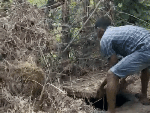 लिव-इन-पार्टनर ने महिला को मारकर सेप्टिक टैंक में छिपाया:रक्षाबंधन पर घर नहीं आई तो भाइयों ने ढूंढा, बदबू आने पर खुला हत्या का राज
