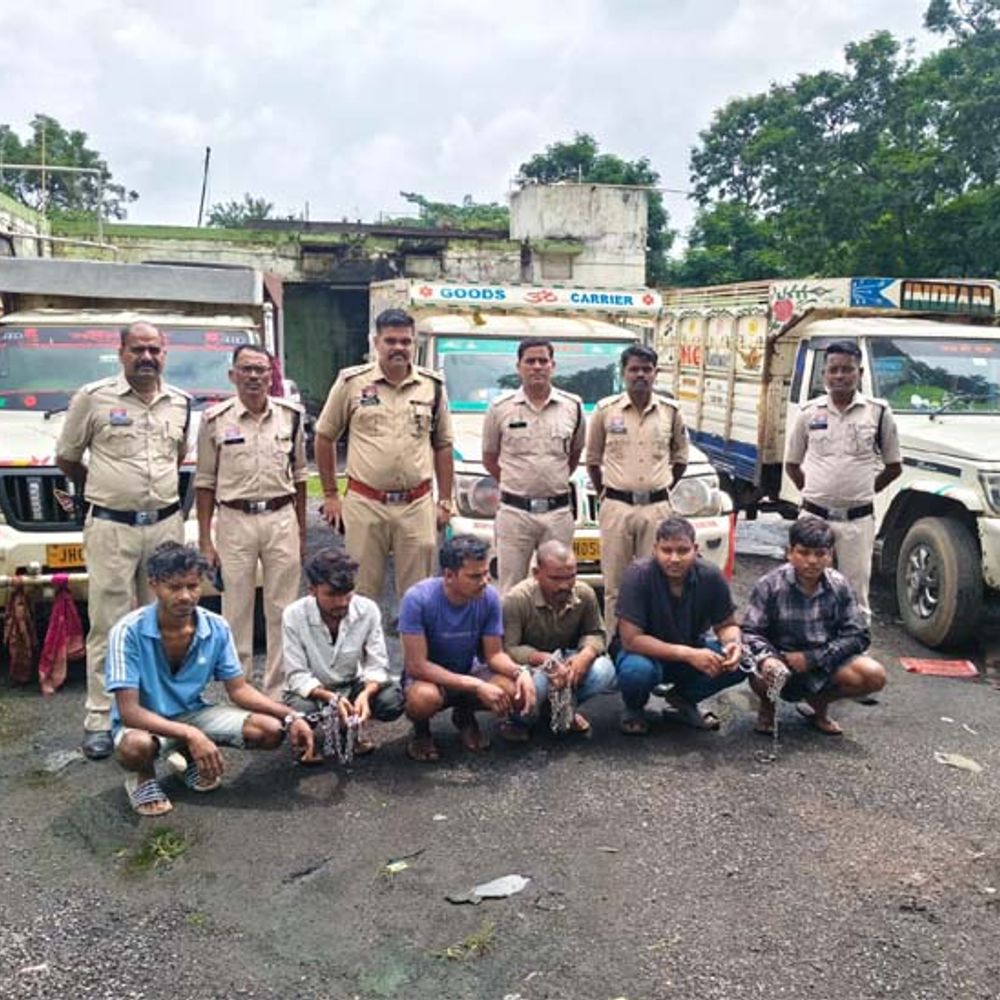पुलिस वाहन को टक्कर मारकर भाग रहे थे तस्कर:3 पिकअप में 6 गौवंश बरामद, झारखंड लेकर जा रहे थे, 6 आरोपी गिरफ्तार; एक फरार