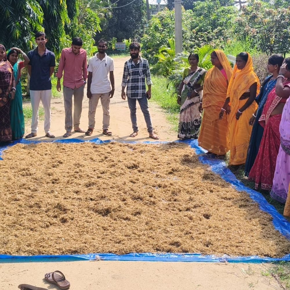 मशरूम उत्पादन से स्वरोजगार की राह, 35 किसानों ने सीखी वैज्ञानिक तकनीक