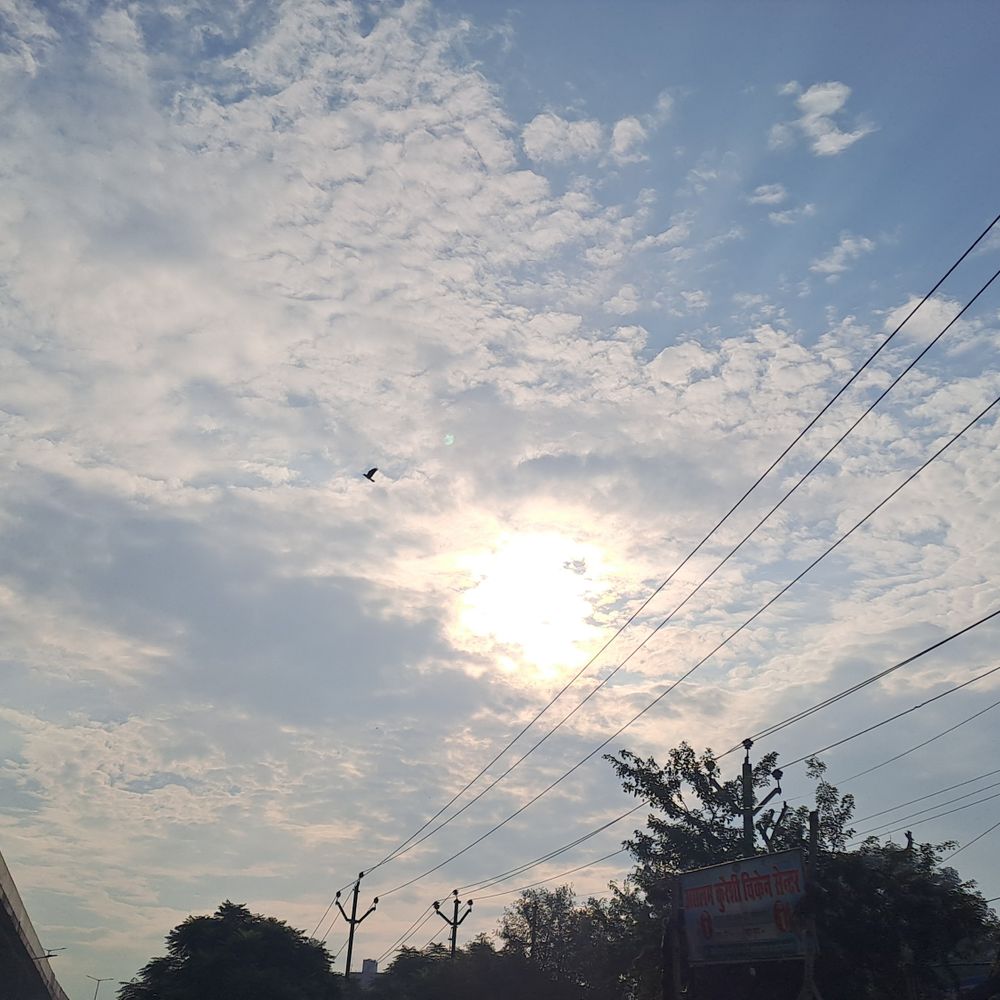 गोपालगंज में तेज धूप और उमस से लोग परेशान:दोपहर बाद गरज-चमक के साथ बारिश की संभावना, तापमान 36°C