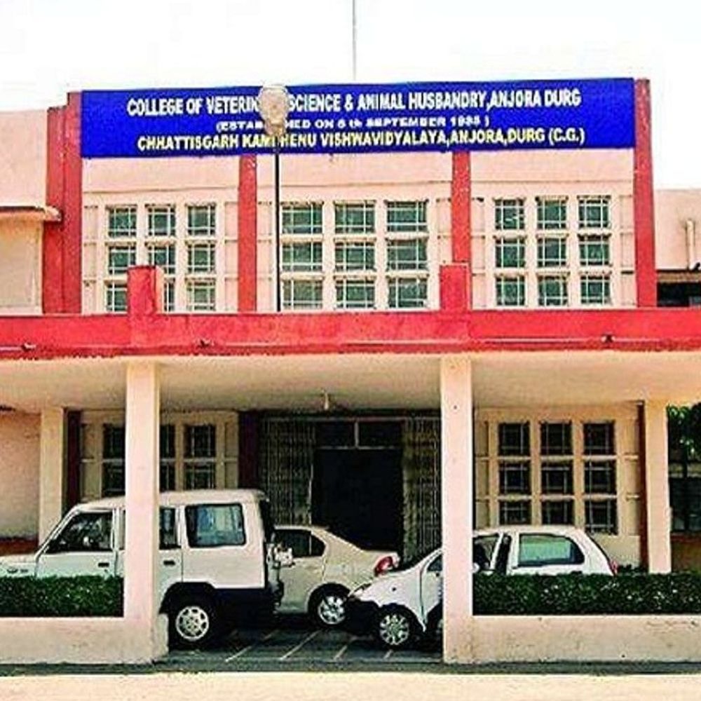 कामधेनु विवि में जांच से पहले भर्ती की तैयारी:मंत्री ने जांच पूरी होने तक प्रक्रिया रोकने के दिए थे निर्देश, राज्यपाल तक पहुंची शिकायत